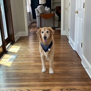 Meet your Posher, Ellie